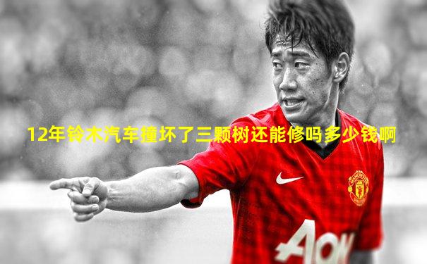 12年铃木汽车撞坏了三颗树还能修吗多少钱啊