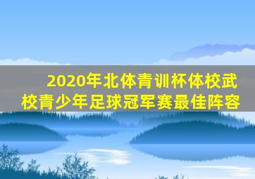 2020年北体青训杯体校武校青少年足球冠军赛最佳阵容