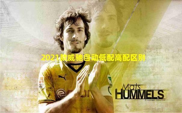2021款威驰自动低配高配区别