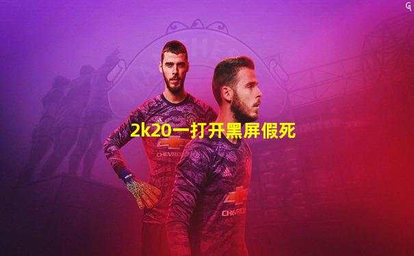2k20一打开黑屏假死