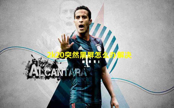 2k20突然黑屏怎么办解决