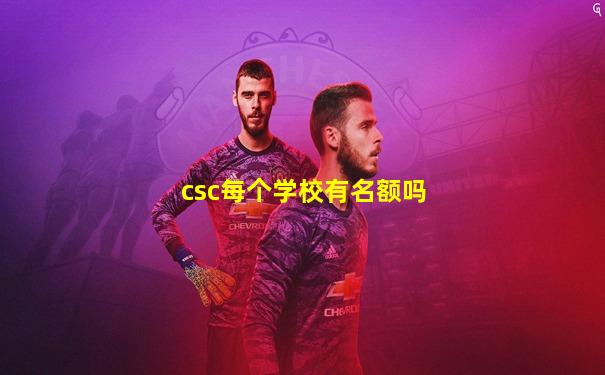 csc每个学校有名额吗