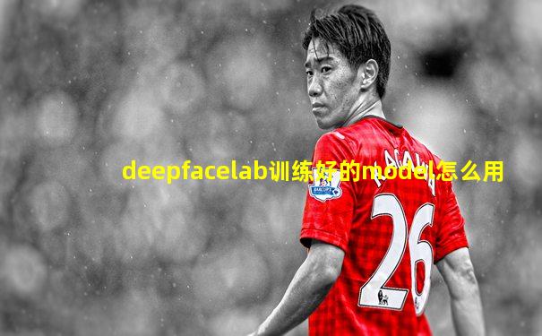 deepfacelab训练好的model怎么用