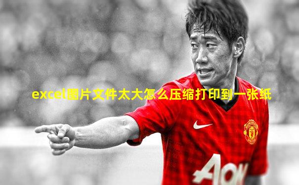 excel图片文件太大怎么压缩打印到一张纸