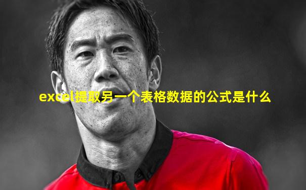 excel提取另一个表格数据的公式是什么