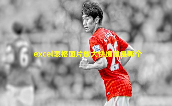 excel表格图片放大快捷键是哪个