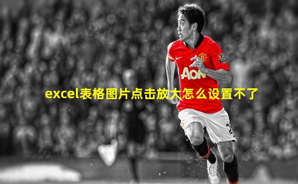 excel表格图片点击放大怎么设置不了