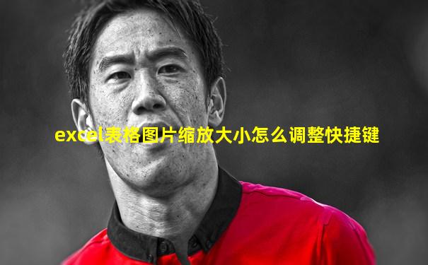 excel表格图片缩放大小怎么调整快捷键