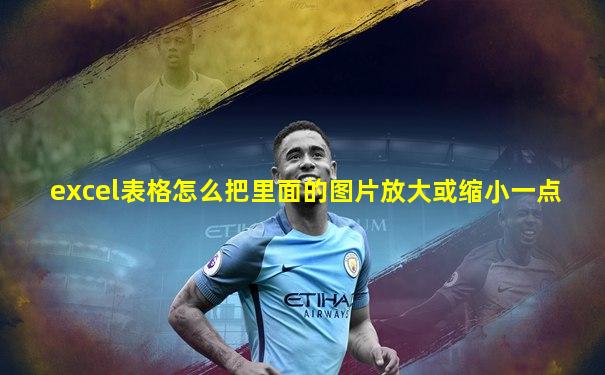 excel表格怎么把里面的图片放大或缩小一点