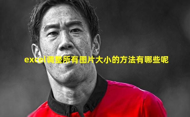excel调整所有图片大小的方法有哪些呢