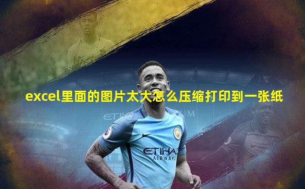 excel里面的图片太大怎么压缩打印到一张纸