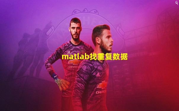 matlab找重复数据