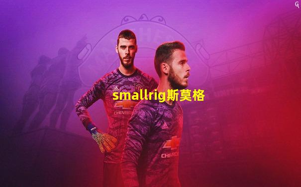 smallrig斯莫格