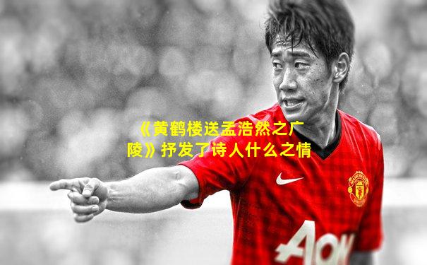 《黄鹤楼送孟浩然之广陵》抒发了诗人什么之情
