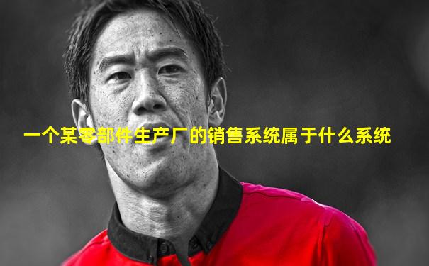 一个某零部件生产厂的销售系统属于什么系统