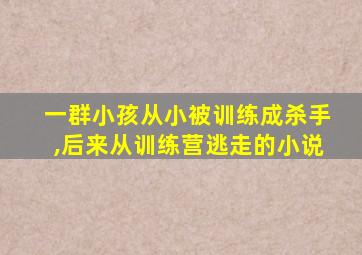 一群小孩从小被训练成杀手,后来从训练营逃走的小说