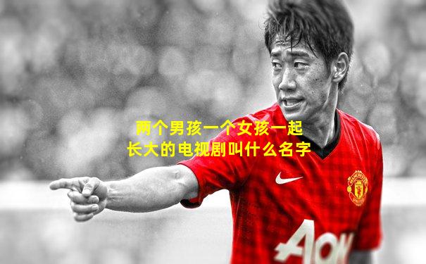 两个男孩一个女孩一起长大的电视剧叫什么名字