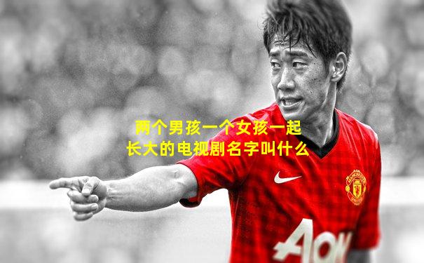 两个男孩一个女孩一起长大的电视剧名字叫什么