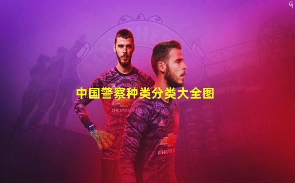 中国警察种类分类大全图