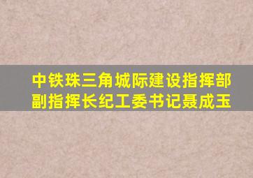中铁珠三角城际建设指挥部副指挥长纪工委书记聂成玉