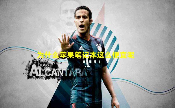 为什么苹果笔记本这么便宜呢