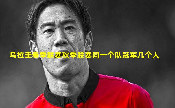乌拉圭春季联赛秋季联赛同一个队冠军几个人