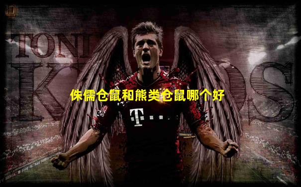 侏儒仓鼠和熊类仓鼠哪个好