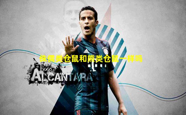 侏儒类仓鼠和熊类仓鼠一样吗