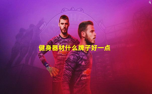 健身器材什么牌子好一点