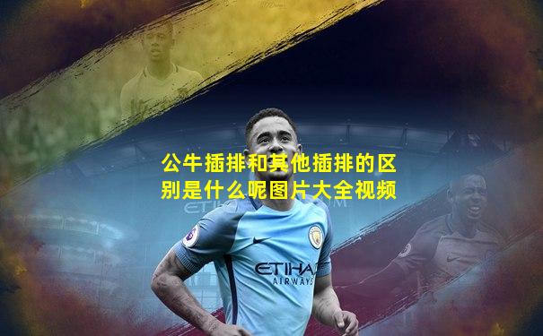 公牛插排和其他插排的区别是什么呢图片大全视频