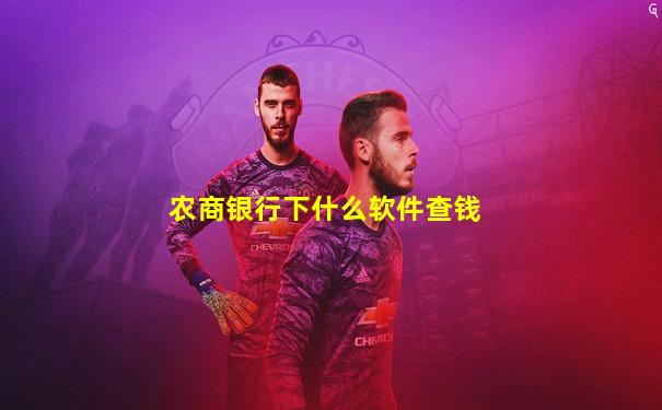 农商银行下什么软件查钱