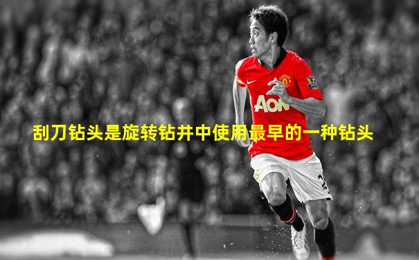 刮刀钻头是旋转钻井中使用最早的一种钻头