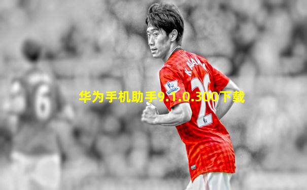 华为手机助手9.1.0.300下载