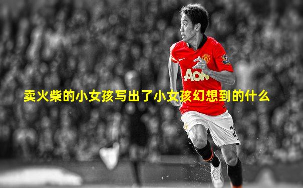 卖火柴的小女孩写出了小女孩幻想到的什么
