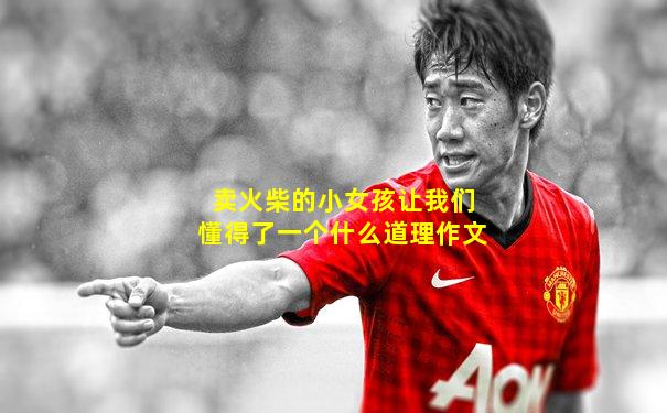 卖火柴的小女孩让我们懂得了一个什么道理作文