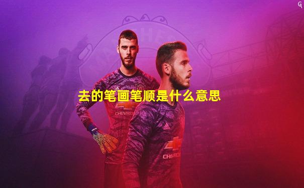 去的笔画笔顺是什么意思