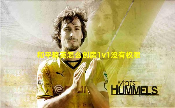 和平精英怎么创房1v1没有权限