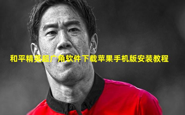 和平精英超广角软件下载苹果手机版安装教程