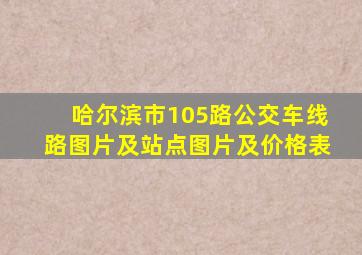 哈尔滨市105路公交车线路图片及站点图片及价格表