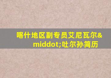 喀什地区副专员艾尼瓦尔·吐尔孙简历