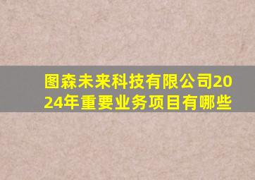 图森未来科技有限公司2024年重要业务项目有哪些