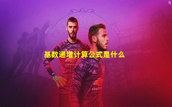 基数递增计算公式是什么