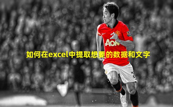如何在excel中提取想要的数据和文字