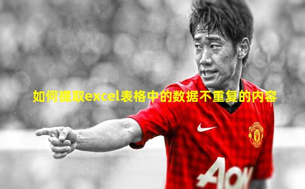 如何提取excel表格中的数据不重复的内容