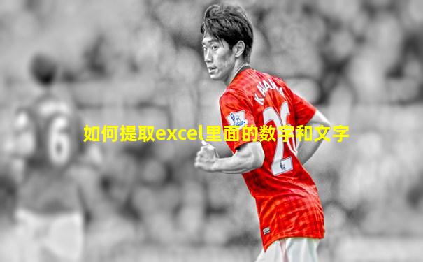 如何提取excel里面的数字和文字