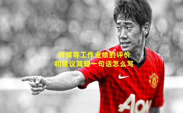 对领导工作业绩的评价和建议简短一句话怎么写