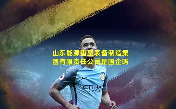 山东能源重型装备制造集团有限责任公司是国企吗