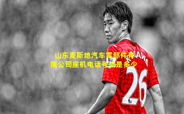 山东麦斯地汽车零部件有限公司座机电话号码是多少