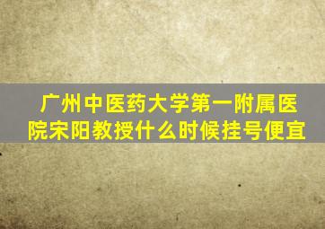 广州中医药大学第一附属医院宋阳教授什么时候挂号便宜