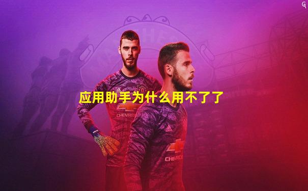 应用助手为什么用不了了